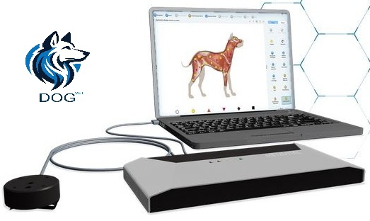 DOG-Internet
